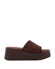 BROWN-DAIN